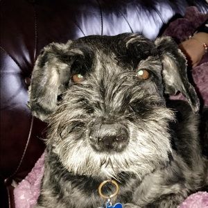 Meet your Posher, Inez